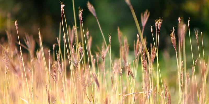 化工节能新利器：山东博瑞特储罐纳米隔热反射涂料的高温储运效益深度解析