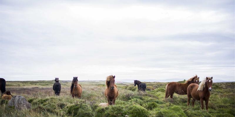 化工行业储罐如何选材？解析山东博瑞特不锈钢储罐的建筑材料优势与工业涂料防护