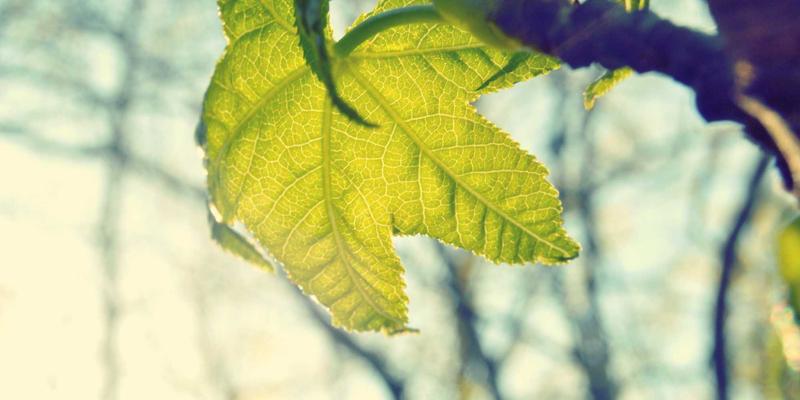 守护化工安全防线：不锈钢化学品储罐泄漏监测与安全防护系统设计解析