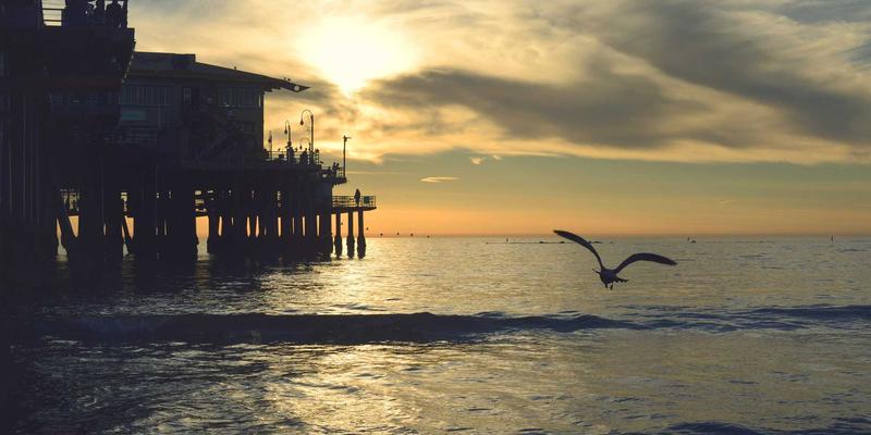 山东博瑞特45：以卓越品质，定义建筑涂料新标准