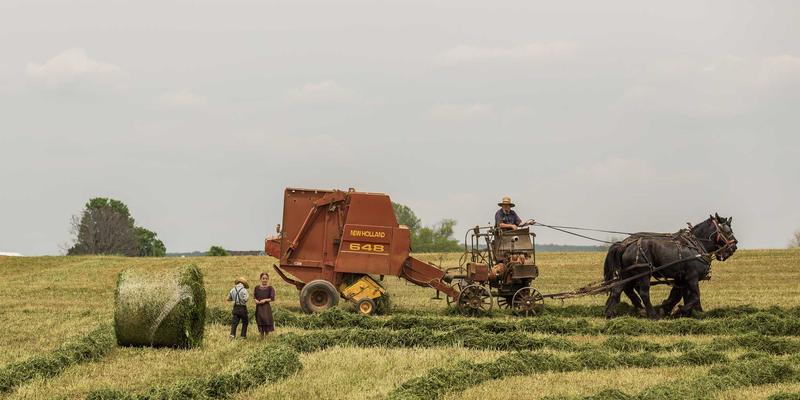 山东博瑞特71：工业与建筑涂料领域的创新引领者