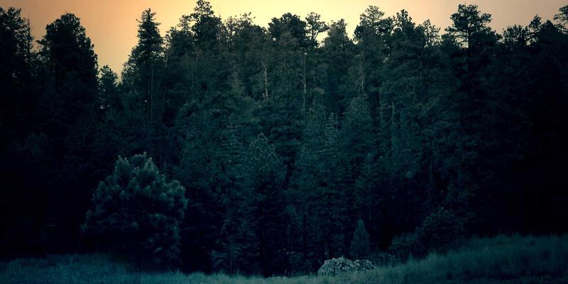 山东博瑞特84:工业涂料领域的可靠选择与创新引领者