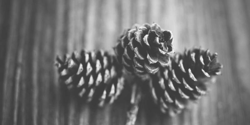 山东博瑞特8：以创新与环保引领工业涂料新纪元