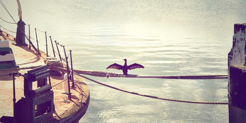 山东博瑞特:以创新科技与卓越品质,引领建筑涂料行业新未来