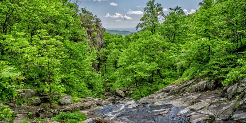 山东博瑞特：以环保涂料技术创新，引领制药设备绿色智造新未来