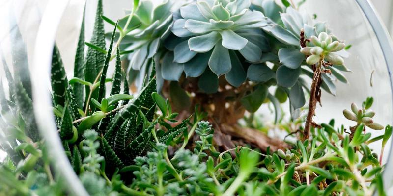 山东博瑞特：以绿色化工为翼，领航环保涂料新未来