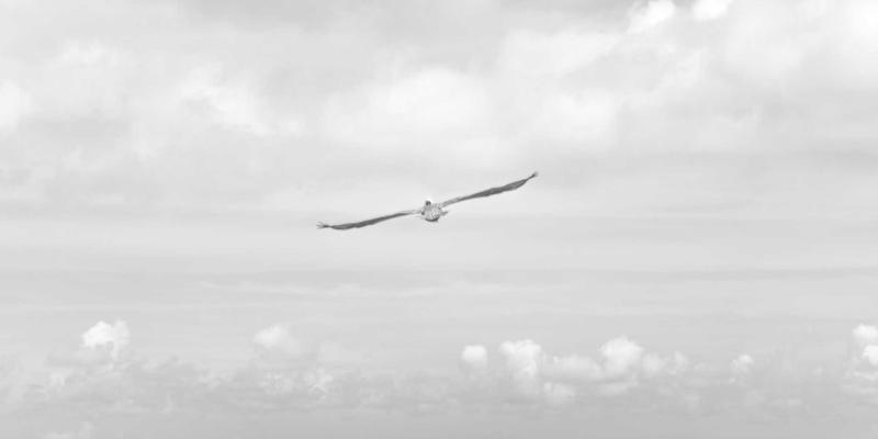 深度解析山东博瑞特储罐：化工防腐工艺与环保涂料质量标准