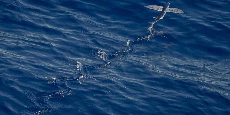 精细化工新篇章：山东博瑞特压力容器如何为建筑涂料产业定制安全与效率