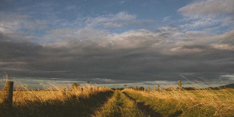 食品饮料工厂地坪与墙面卫生型涂装系统：环保涂料选材、标准与施工全解析